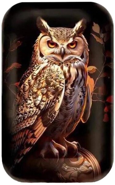 Pièce de monnaie en Argent g 62.2 (2 oz) Millésime 2025 ATHENA OWL