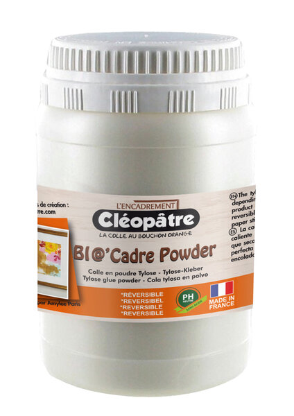 Colle en poudre pour l'encadrement Bio'cadre Thylose 100 g