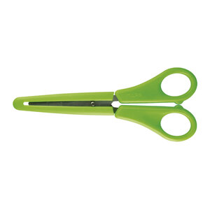 Ciseaux avec étui Case