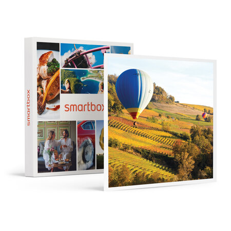 SMARTBOX - Coffret Cadeau Vol en montgolfière au-dessus de la Touraine -  Sport & Aventure