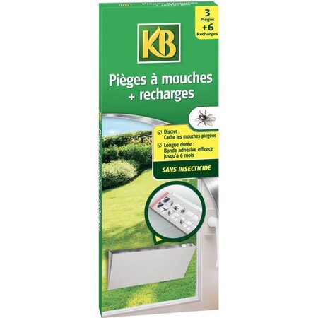 Pieges a mouches + recharges