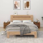 vidaXL Tables de chevet 2 Pièces Chêne fumé 50x39x47 cm