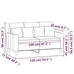 vidaXL Canapé à 2 places Gris foncé 120 cm Tissu