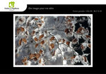Lot de 6 cartes postales - hiver 2 - photos frédéric engel