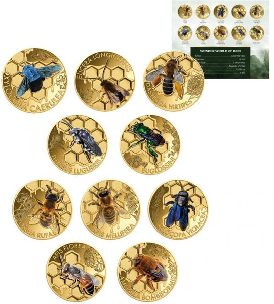 Pièce de monnaie en Or 3000 Francs g 0.031 (1/1000 oz) Millésime 2024 Wonder World Set BEES
