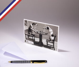 Carte simple l'œil du photographe créée et imprimée en france - partie de dames entre chiens