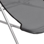 vidaXL Chaises plage pliantes lot de 2 textilène acier enduit poudre