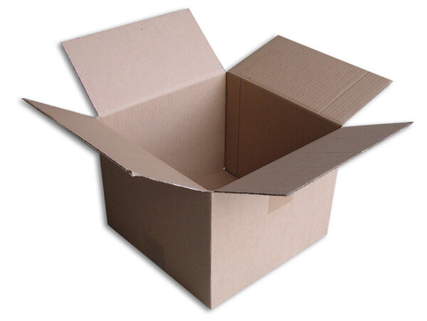 Lot de 100 boîtes carton (n°23) format 255x255x200 mm