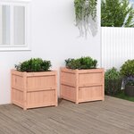 vidaXL Jardinières 2 Pièces bois massif douglas