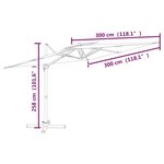 vidaXL Parasol cantilever à double toit Vert 300x300 cm