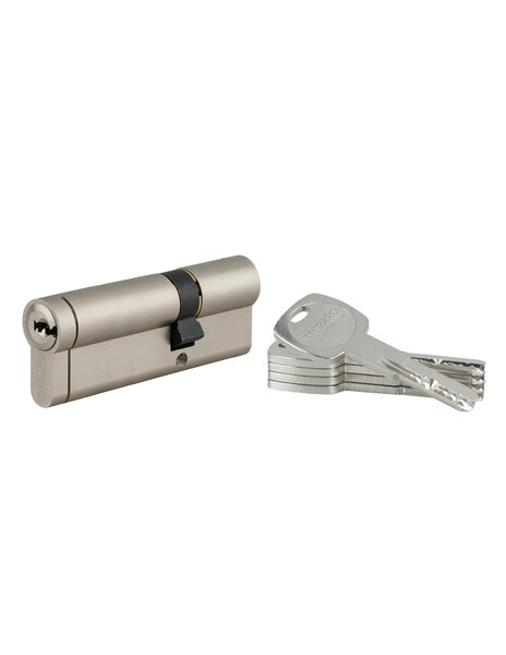 THIRARD - Cylindre double entrée Transit 1  30x60mm  nickelé  5 clés