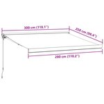 vidaXL Auvent manuel rétractable marron 300x250 cm