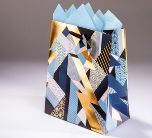 Sac cadeau eclair mmpml 17,5 x h 23 sapin