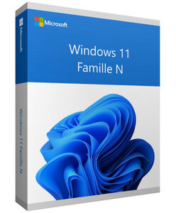 Microsoft Windows 11 Famille N (Home N) - 64 bits - Clé licence à télécharger