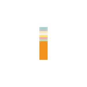 Paquet 100 Fiches Intercalaires Horizontales Unies Perforées - 105x240mm - Couleurs Assorties - X 12 - Exacompta