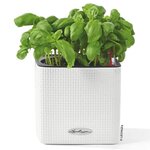 Lechuza jardinière de table cube color 14 all-in-one blanc