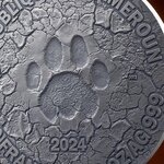 Pièce de monnaie en Argent 2000 Francs g 62.2 (2 oz) Millésime 2024 Circle of Life GRACE OF LIONESS