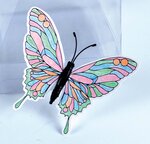 Papillons aimantés prédessinés à colorier 6 à 10 cm x4 - MegaCrea DIY