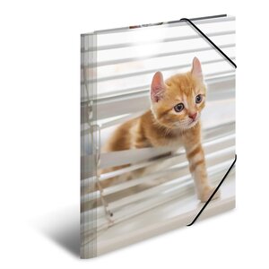 Chemise à élastiques 'chats', PP Glossy, A3 HERMA