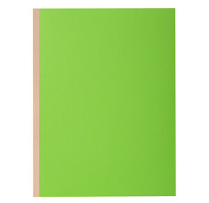 Pt 10 chem.à soufflet ROCK''S 320g vert EXACOMPTA