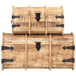 vidaXL Coffres de rangement 2 Pièces Bois de manguier massif
