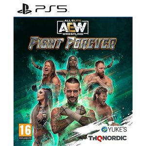 Jeu PS5 AEW Fight Forever