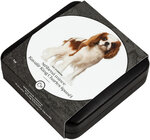 Pièce de monnaie en argent 1 dollar g 31.1 (1 oz) millésime 2023 dog breeds cavalier king charles spaniel