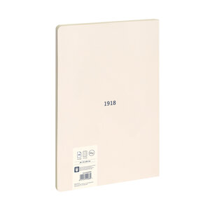 Cahier collé  papier quadrillé  48 pages A4  série 1918  beige