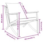 vidaXL Chaises de jardin avec coussins lot de 2 noir acier