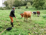 SMARTBOX - Coffret Cadeau Séance de golf originale parmi les animaux en Normandie -  Sport & Aventure