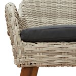 vidaXL Chaises de jardin avec coussins 2 Pièces Gris clair Rattan synthétique