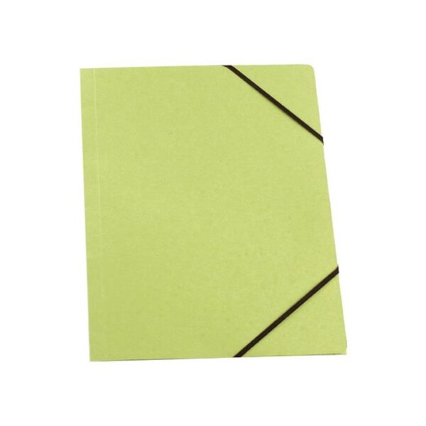 Chemise à élastiques Carte Forte, format DIN A4, vert ELBA