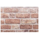 vidaXL Panneaux muraux 3D 10 Pièces marron 100x50 cm EPS
