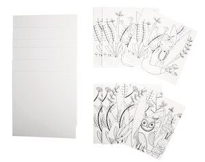 Carte à colorier avec enveloppe Hibou 13 5 cm 6 pièces