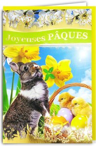 Carte Joyeuses Pâques Bonne Fête - Avec Enveloppe 12x19 5cm