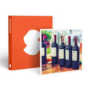 SMARTBOX - Coffret Cadeau Découverte d’un vignoble de Provence et de sa cave avec dégustation pour 6 personnes - Gastronomie