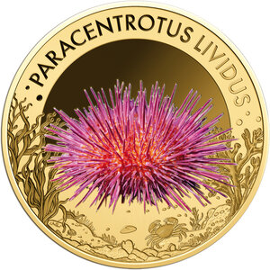 Monnaie PURPLE SEA URCHIN Sea Creatures 1/1000 Oz Or 3000 Francs Chad