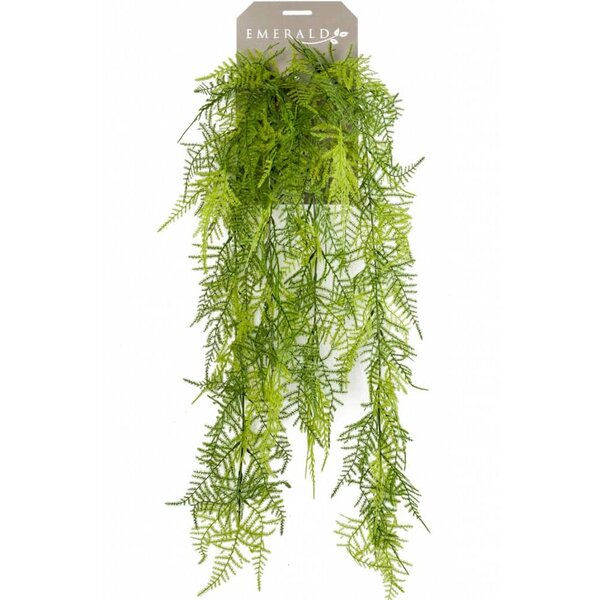 Emerald Asperges Plumosus artificielle 80 cm