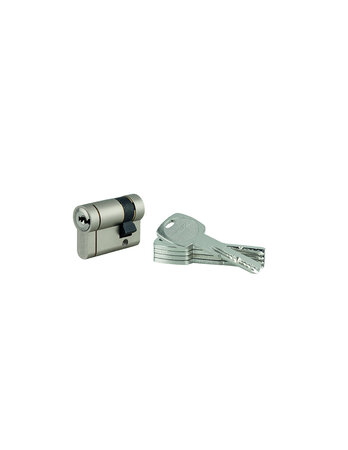 THIRARD - Demi cylindre de serrure Transit 1 UNIKEY (achetez-en plusieurs  ouvrez avec la même clé)  30x10mm  5 clés  nickelé