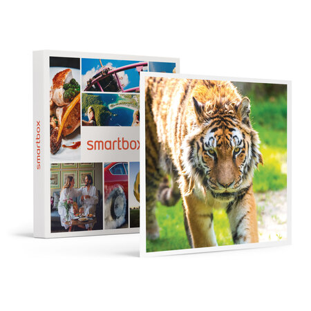 SMARTBOX - Coffret Cadeau Zoo d'Amnéville : expérience en immersion avec les carnivores pour 1 personne -  Multi-thèmes