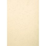 Paquet De 100 Couvertures Grain Cuir Pour Reliure A3 - Ivoire - Papeteries De Clairefontaine
