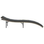 vidaXL Chaises longues lot de 2 et coussins gris clair résine tressée
