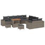 Set de Canapés de Jardin en 13 Pièces avec Coussins Gris Poly Rattan Acacia