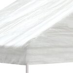 vidaXL Belvédère avec toit blanc 15 61x5 88x3 75 m polyéthylène