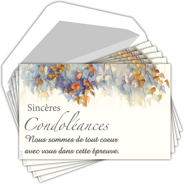 Lot 5 cartes remerciements condoléances +5 enveloppes blanches format 9x14cm