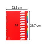 Intercalaires Polypropylène Opaque Semi Rigide 12 Positions - A4 - Couleurs Assorties - X 15 - Exacompta