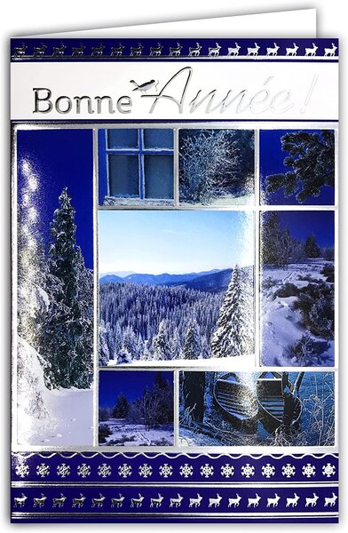 Lot 10 cartes identiques bonne année meilleurs vœux avec 10 enveloppes blanches