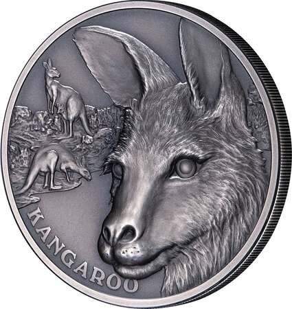 Pièce de monnaie en Argent 1 Dollar g 31.1 (1 oz) Millésime 2021 Wildlife Up Close KANGAROO