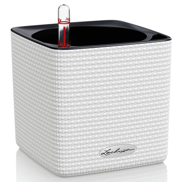 Lechuza jardinière de table cube color 14 all-in-one blanc