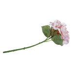 Hortensia Rosé 33cm